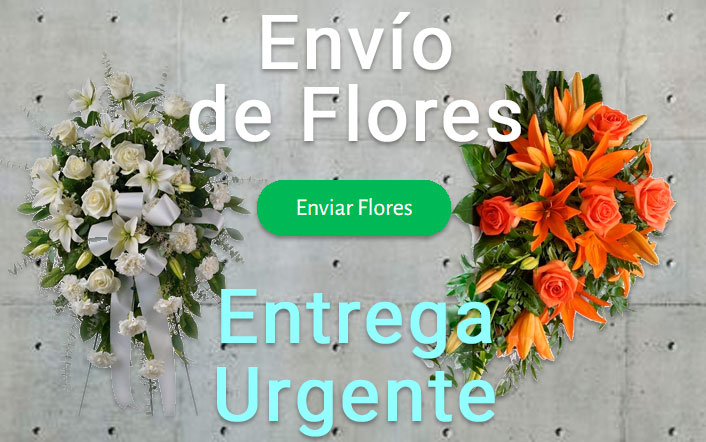 Envio de flores urgente a Tanatorio Pamplona